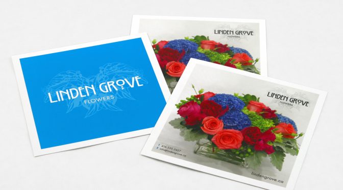 Linden Grove – Direct Mail